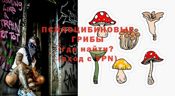 MDMA Кукмор
