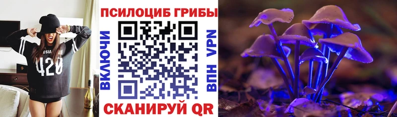 Псилоцибиновые грибы Magic Shrooms  Купить закладки  Пласт 